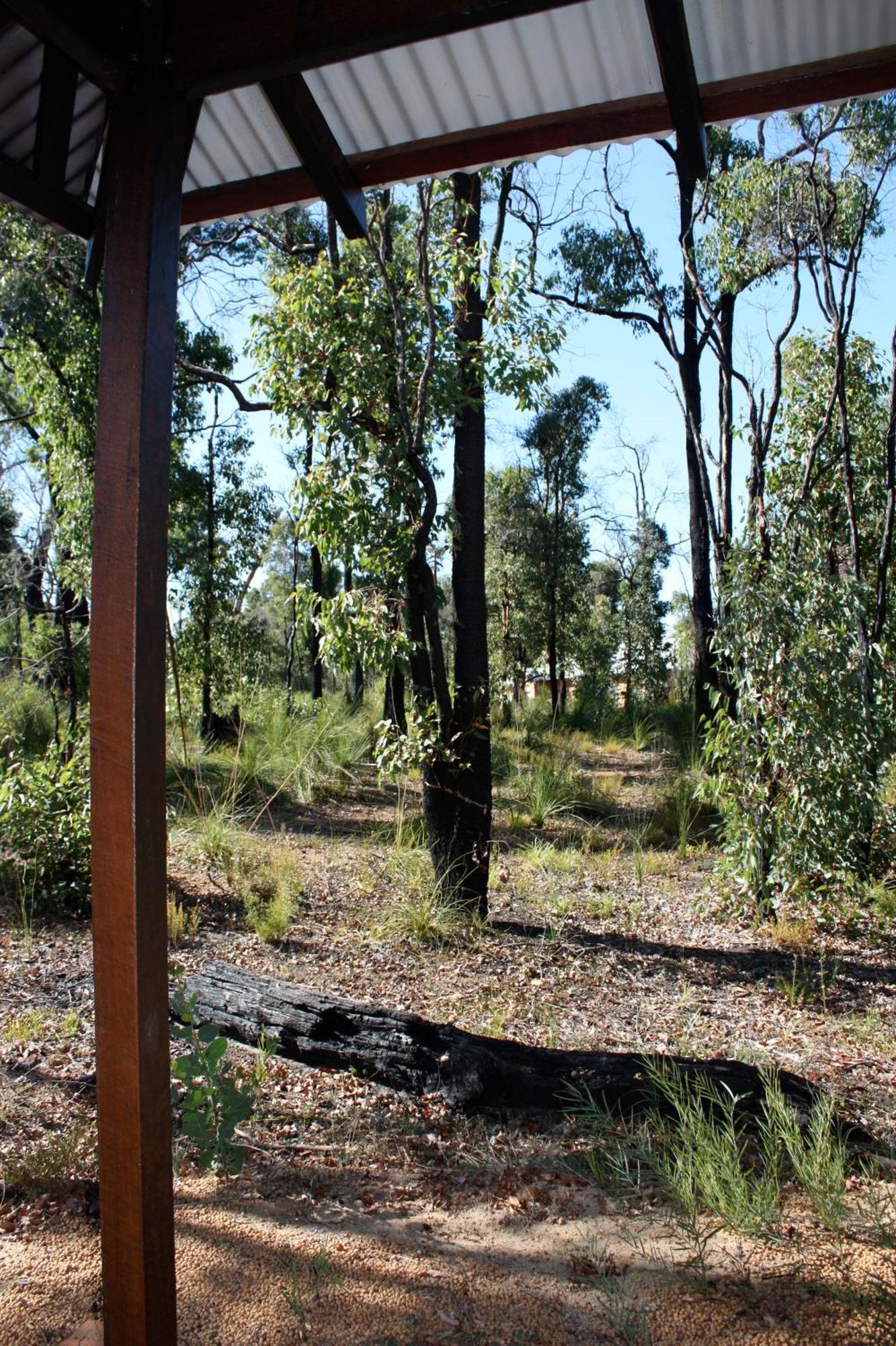 Chalets On Stoneville Redcliffe Luaran gambar